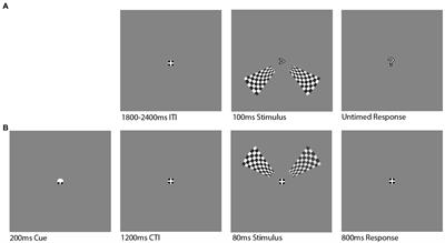 Individual alpha frequency appears unrelated to the latency of early visual responses